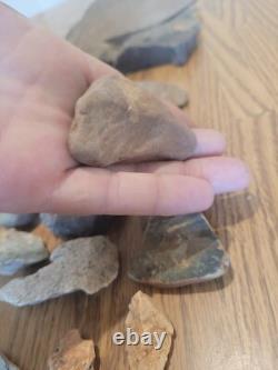 Fish / Bird Native American Indian Stone Effigy Rock Art, Artifacts, Tools