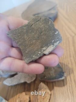 Fish / Bird Native American Indian Stone Effigy Rock Art, Artifacts, Tools