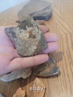 Fish / Bird Native American Indian Stone Effigy Rock Art, Artifacts, Tools