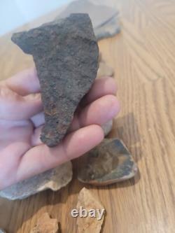 Fish / Bird Native American Indian Stone Effigy Rock Art, Artifacts, Tools