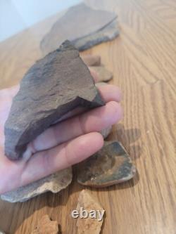 Fish / Bird Native American Indian Stone Effigy Rock Art, Artifacts, Tools