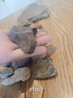 Fish / Bird Native American Indian Stone Effigy Rock Art, Artifacts, Tools