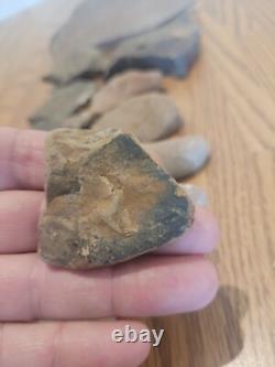 Fish / Bird Native American Indian Stone Effigy Rock Art, Artifacts, Tools