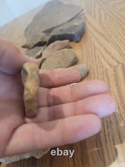 Fish / Bird Native American Indian Stone Effigy Rock Art, Artifacts, Tools