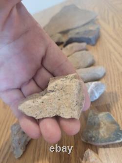 Fish / Bird Native American Indian Stone Effigy Rock Art, Artifacts, Tools