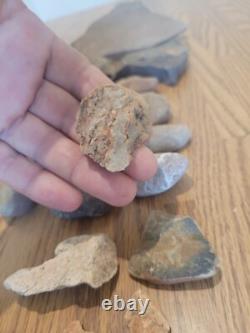 Fish / Bird Native American Indian Stone Effigy Rock Art, Artifacts, Tools