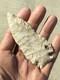 Gorgeous Early Archaic Dovetail/kirk Cluster Arrowhead Fulton Co Illinois 3 3/4