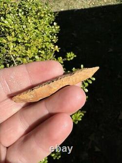 Gorgeous Ancient Authentic Little Bear Creek Arrowhead From North Mississippi