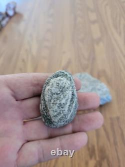 Granite Dog Table Native American Stone Effigy Rock Art, Artifacts, Tools