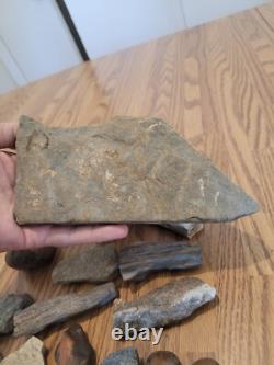 Gray Shiny Fish -Native American Indian Stone Effigy Rock Art, Artifacts, Tools