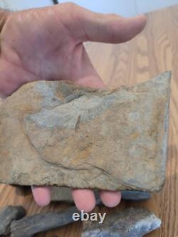 Gray Shiny Fish -Native American Indian Stone Effigy Rock Art, Artifacts, Tools