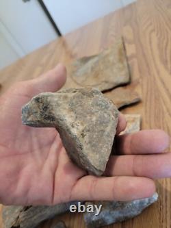 Gray Shiny Fish -Native American Indian Stone Effigy Rock Art, Artifacts, Tools