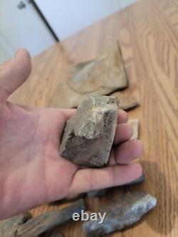 Gray Shiny Fish -Native American Indian Stone Effigy Rock Art, Artifacts, Tools