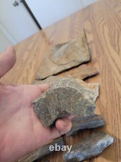 Gray Shiny Fish -Native American Indian Stone Effigy Rock Art, Artifacts, Tools