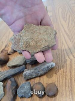 Gray Shiny Fish -Native American Indian Stone Effigy Rock Art, Artifacts, Tools