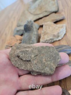 Gray Shiny Fish -Native American Indian Stone Effigy Rock Art, Artifacts, Tools