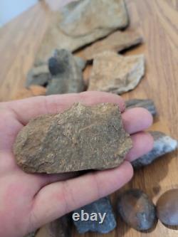 Gray Shiny Fish -Native American Indian Stone Effigy Rock Art, Artifacts, Tools