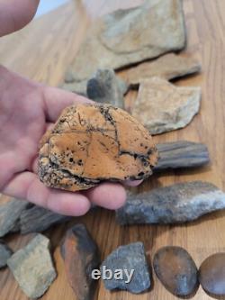 Gray Shiny Fish -Native American Indian Stone Effigy Rock Art, Artifacts, Tools