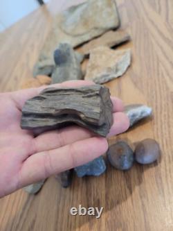 Gray Shiny Fish -Native American Indian Stone Effigy Rock Art, Artifacts, Tools