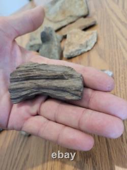 Gray Shiny Fish -Native American Indian Stone Effigy Rock Art, Artifacts, Tools