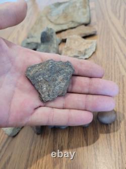 Gray Shiny Fish -Native American Indian Stone Effigy Rock Art, Artifacts, Tools