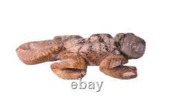 Highly Detailed Zuni Lizard Fetish by Hudson Sandy Early 21st Century