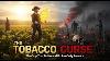 How Tobacco Built America S First Empire And Destroyed It