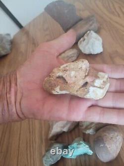 Howling Coyote Native American Indian Stone Effigy Rock Art, Artifacts, Tools