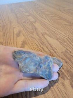 Ice Age Creature Native American Indian Stone Effigy Rock Art, Artifacts, Tools