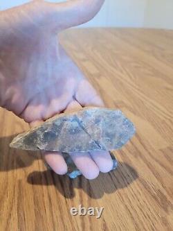 Ice Age Creature Native American Indian Stone Effigy Rock Art, Artifacts, Tools