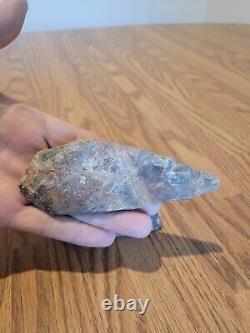 Ice Age Creature Native American Indian Stone Effigy Rock Art, Artifacts, Tools