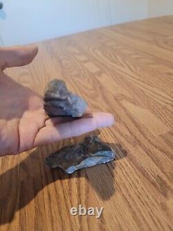 Ice Age Creature Native American Indian Stone Effigy Rock Art, Artifacts, Tools