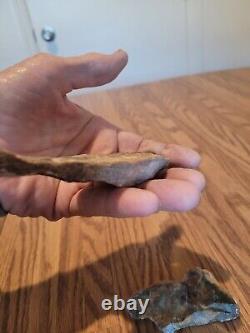 Ice Age Creature Native American Indian Stone Effigy Rock Art, Artifacts, Tools