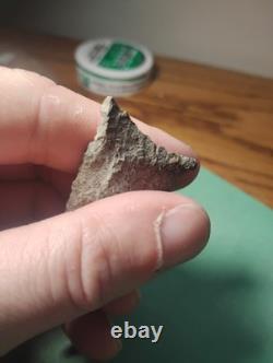 Killer Early Archaic Dalton Attleboro MASS. Beaver Site 1920's 3 Arrowhead