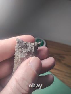Killer Early Archaic Dalton Attleboro MASS. Beaver Site 1920's 3 Arrowhead
