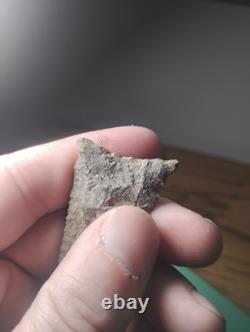 Killer Early Archaic Dalton Attleboro MASS. Beaver Site 1920's 3 Arrowhead