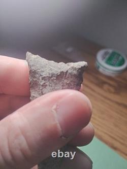 Killer Early Archaic Dalton Attleboro MASS. Beaver Site 1920's 3 Arrowhead