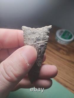 Killer Early Archaic Dalton Attleboro MASS. Beaver Site 1920's 3 Arrowhead