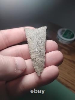 Killer Early Archaic Dalton Attleboro MASS. Beaver Site 1920's 3 Arrowhead