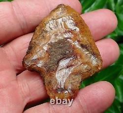 Killer! Translucent Coral Marion Florida Artifacts Deep South Arrowhead Ga Al