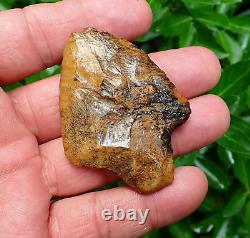 Killer! Translucent Coral Marion Florida Artifacts Deep South Arrowhead Ga Al