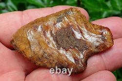 Killer! Translucent Coral Marion Florida Artifacts Deep South Arrowhead Ga Al