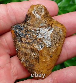 Killer! Translucent Coral Marion Florida Artifacts Deep South Arrowhead Ga Al