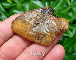 Killer! Translucent Coral Marion Florida Artifacts Deep South Arrowhead Ga Al