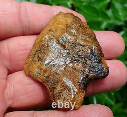 Killer! Translucent Coral Marion Florida Artifacts Deep South Arrowhead Ga Al