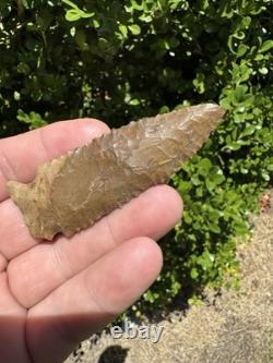 Large Ancient Authentic Very Nice Pinetree Arrowhead From North East Mississippi Large Ancient Authentic Very Nice Pinetree Arrowhead From North East Mississippi