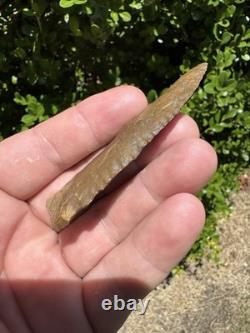 Large Ancient Authentic Very Nice Pinetree Arrowhead From North East Mississippi