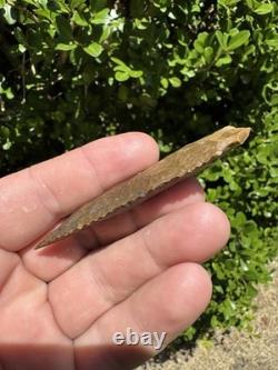 Large Ancient Authentic Very Nice Pinetree Arrowhead From North East Mississippi