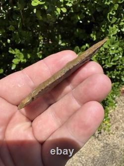 Large Ancient Authentic Very Nice Pinetree Arrowhead From North East Mississippi