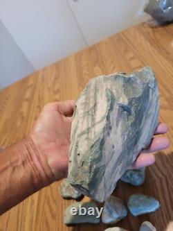 Man Riding Mastodon Petroglyph Native American Stone Effigy Artifacts, Tools